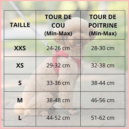 harnais-petit-chien_léger-et-respirant-pour-chiot-taille