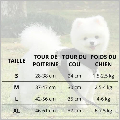 harnais-petit_chien-tissu-respirant-et-confortable-taille