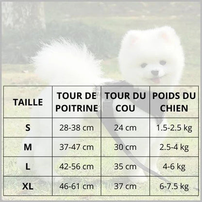 harnais-petit_chien-tissu-respirant-et-confortable-taille