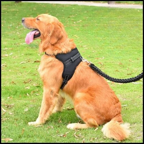 harnais-pour-chien-noir-ergonomique-avec-rembourrage-parc