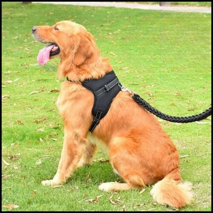 harnais-pour-chien-noir-ergonomique-avec-rembourrage-parc