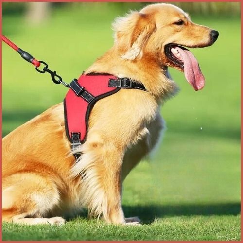 harnais-pour-chien-ergonomique-avec-rembourrage-rouge-parc