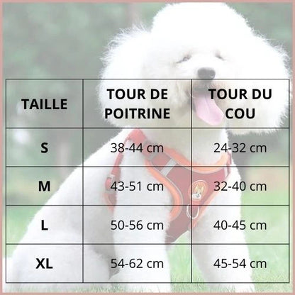 harnais-pour-chien-petit-et-moyen-léger-et-double-attache-tableau