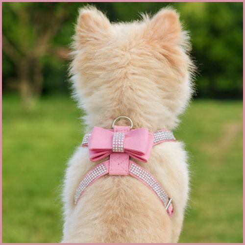 harnais-pour-petit-chien-à-sangles-fines-et-réglable-rose