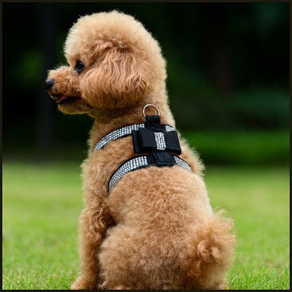 harnais-pour-petit_chien_à-sangles-fines-et-réglable_noir