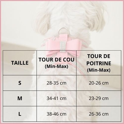 harnais-pour-petit-chien_à-sangles-fines-et-réglable-taille