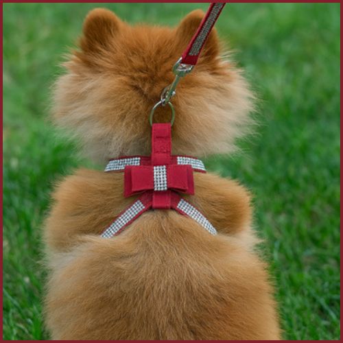 harnais-pour-petit_chien_à-sangles-fines-et-réglable-rouge