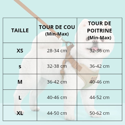 harnais-pour-petit-chien-ergonomique-peau-sensible