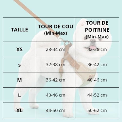 harnais-pour-petit-chien-ergonomique-peau-sensible