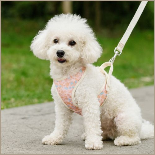 Harnais-pour_petit-chien_motif-léopard-ajustable-beige