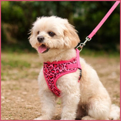 Harnais-pour-petit-chien_motif-léopard-ajustable-rose