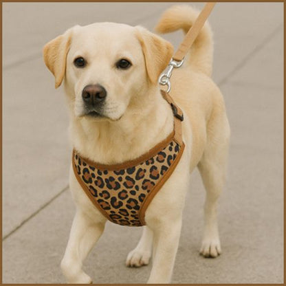 Harnais-pour-petit-chien_motif-léopard-ajustable-marron