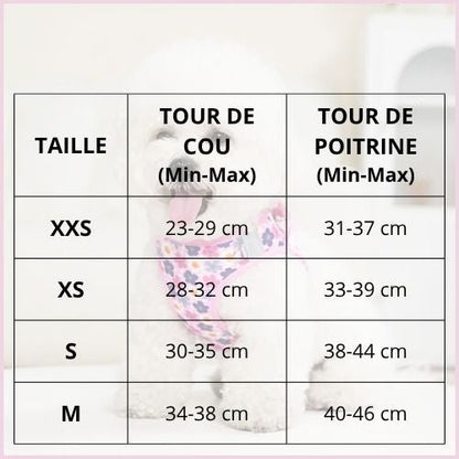 Harnais-pour-petit-chien-spécial-chiot-sensible-doux-et-léger