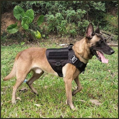 harnais_anti-traction-chien_moyen-et-grand-noir