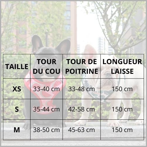 harnais_chien-anti-traction_taille
