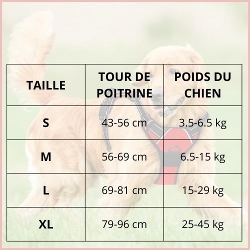harnais_chien-en-y-confortable-et-anti-traction-taille