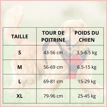 harnais_chien-en-y-confortable-et-anti-traction-taille