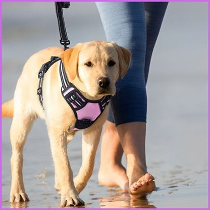 harnais_chien_en-y-rose
