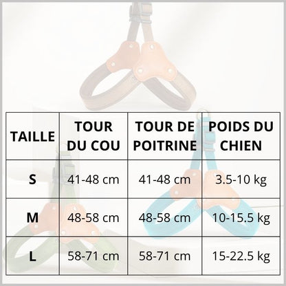harnais_chien_tailles