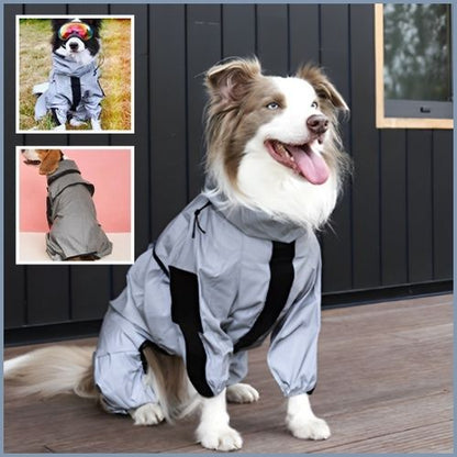 imperméable-chien_réfléchissant-gris