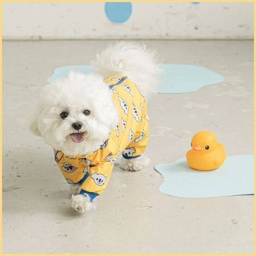 impermeable-chien-jaune_koala