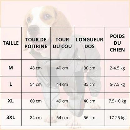 Imperméable-pour-chien-réfléchissant-