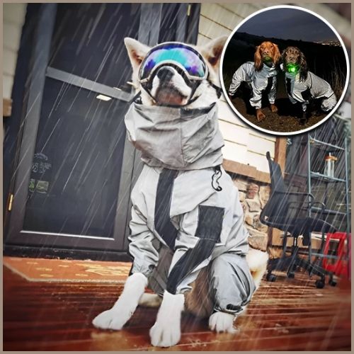 imperméable-chien_réfléchissant-pluie