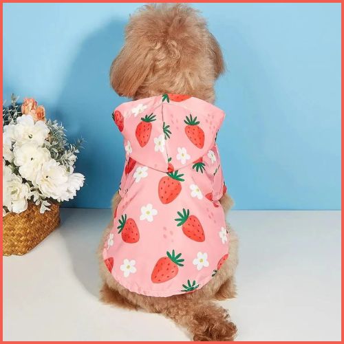 impermeable-chien_avec-capuche-fraise
