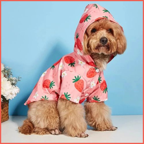 impermeable-chien_avec-capuche-rose-blanc