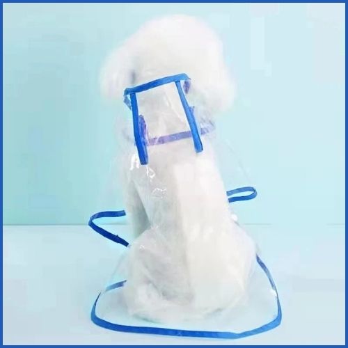 imperméable-chien_léger-et-transparent-bleu
