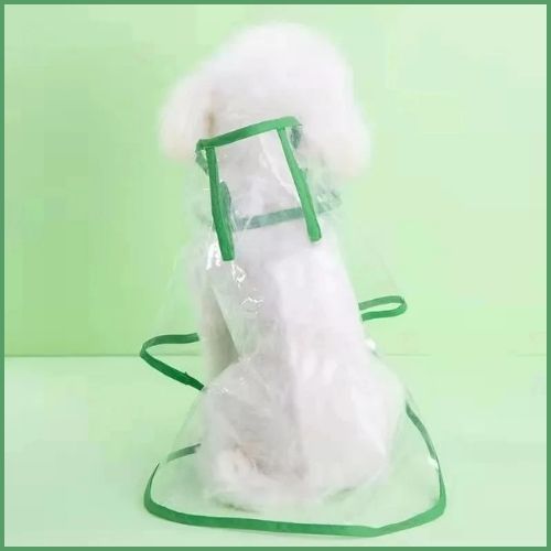 imperméable-chien_léger-et-transparent-vert