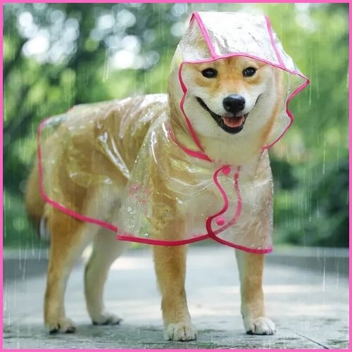 imperméable-chien_léger-et-transparent-rose
