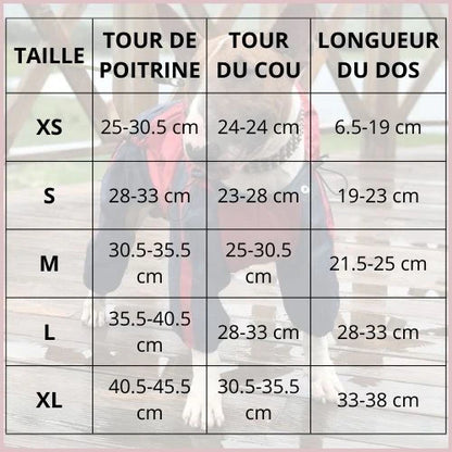 Imperméable-pour-chien-petit-et-moyenne-taille