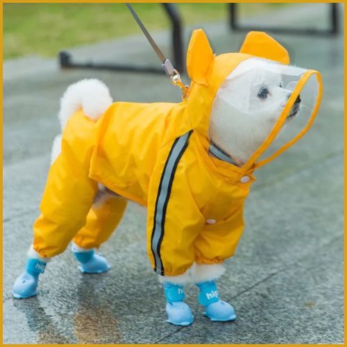 impermeable-pour-chien_avec-capuche-ours