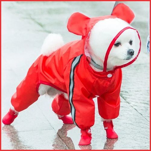 impermeable-pour-chien_avec-capuche-rouge-ours