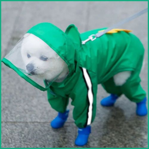 impermeable-pour-chien_avec-capuche-vert-blanc