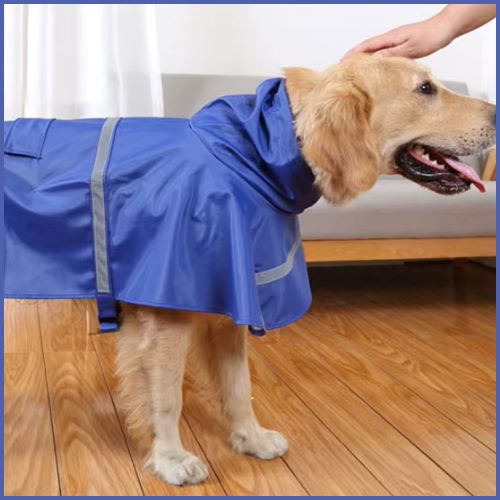 impermeable-pour-chien_bleu-labrador