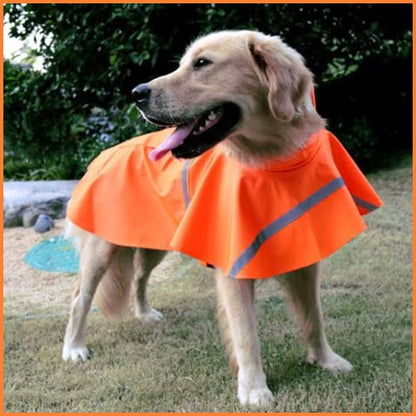 impermeable-pour-chien_grande-taille-orange