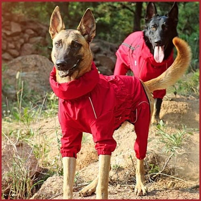 imperméable-pour-chien_grande-taille-étanche-malinois