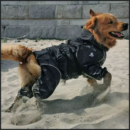 imperméable-pour-chien_grande-taille-étanche-noir