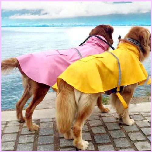 impermeable-pour-chien_grande-taille-rose-jaune