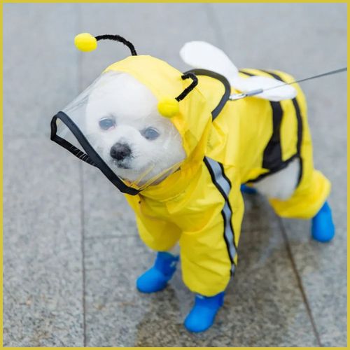 impermeable-pour-chien_jaune-noir