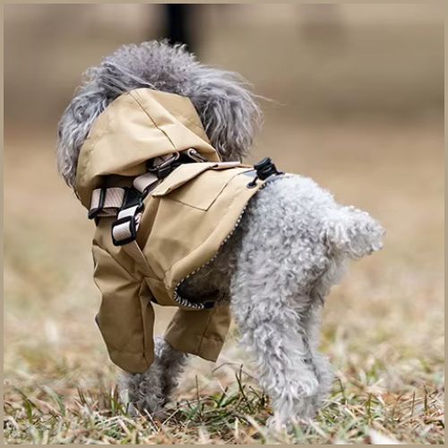 impermeable-pour-chien_petit-et-moyen-avec-harnais-marron