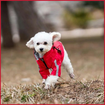 impermeable-pour-chien_petit-et-moyen-avec-harnais-rouge-blanc