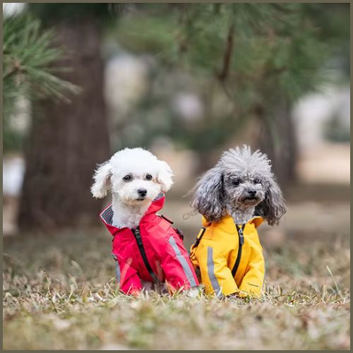 impermeable-pour-chien_petit-et-moyen-avec-harnais-rouge-jaune