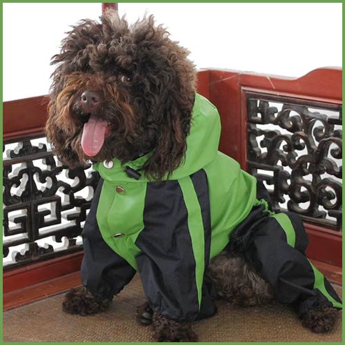 imperméable-pour-chien_petit-et-moyenne-taille-vert-noir