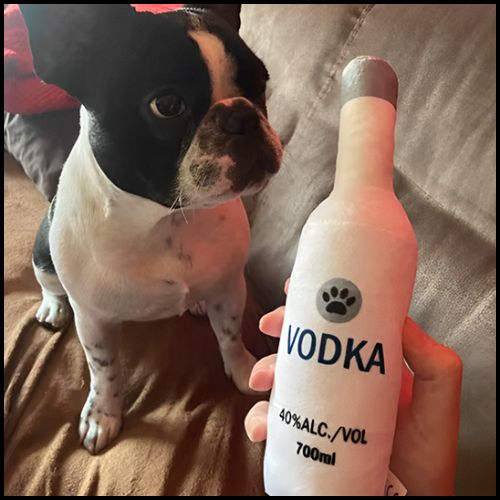 jouet-chien_en-forme-de-bouteille-en-peluche-sonore-vodka
