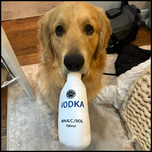 jouet-chien_en-forme-de-bouteille-en-peluche-sonore-volume