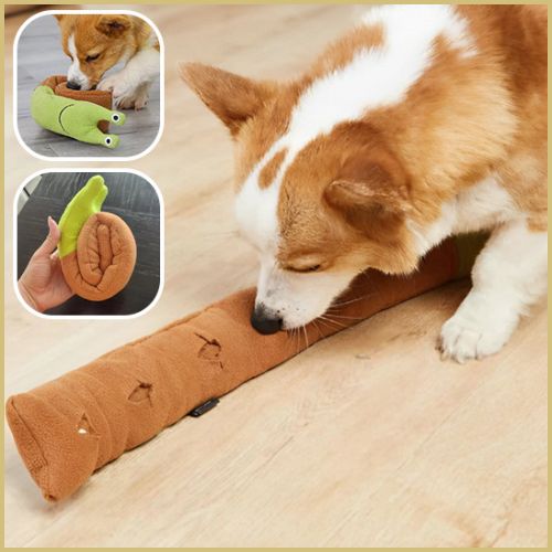 jouet-chien_-friandise