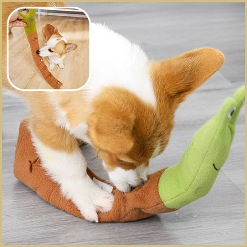 jouet-chien_vert-marron